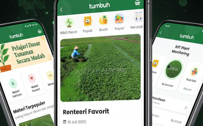 TUMBUH Backend System screenshot